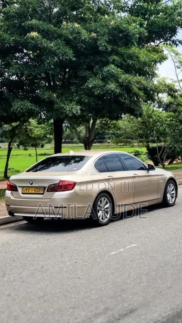 BMW 520d 2013 Car (Used)
