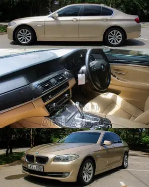 BMW 520d 2013 Car (Used)