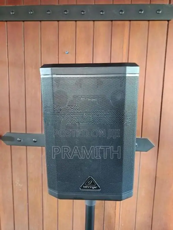 Behringer B1X speaker