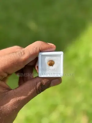 Zircon Yellowish Brown