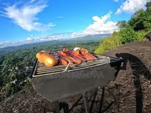 Portable BBQ Machine