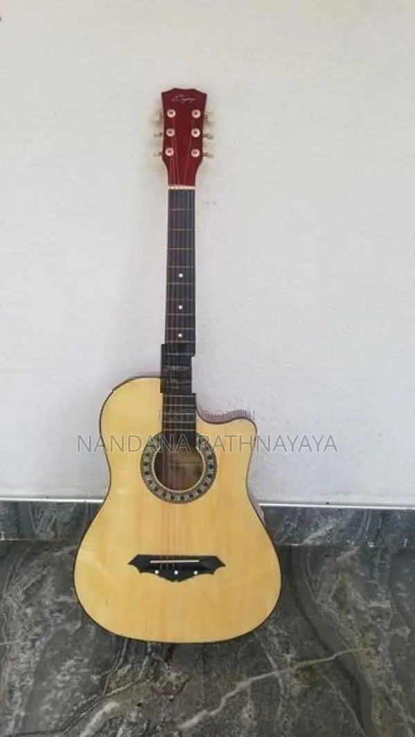 Brand New Guitar