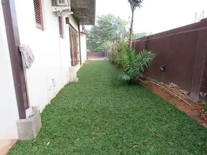 Malaysian Grass Pidali With Carpet