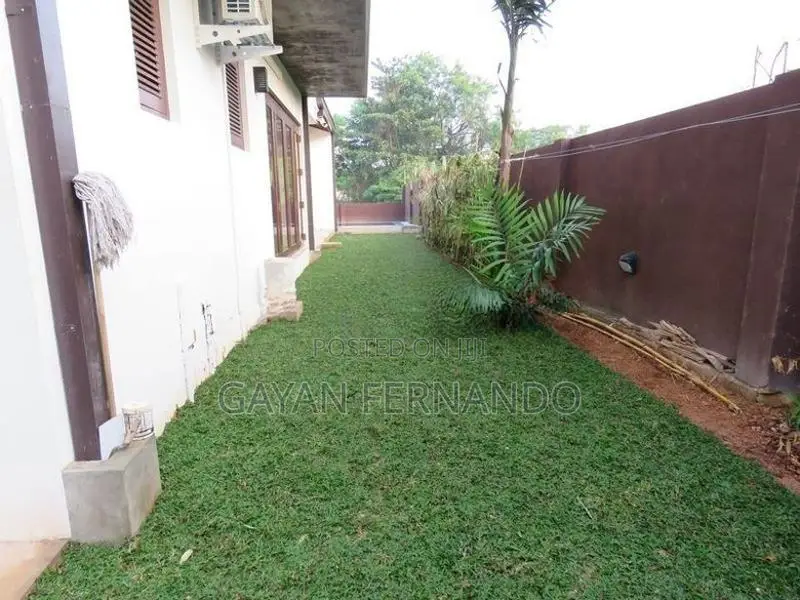 Malaysian Grass Pidali With Carpet