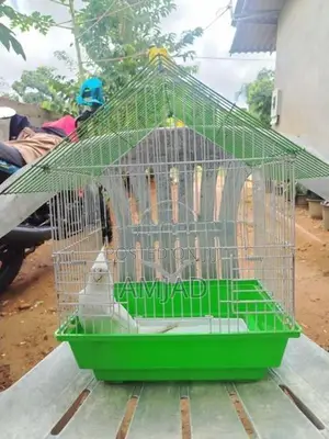 Cockatiel With Bird Cage