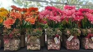 Artificial Flower Vase