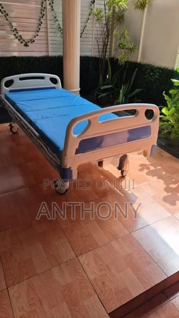 2 Function Bed Manual with Mattress