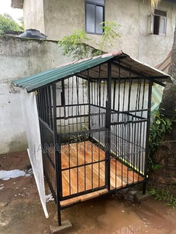 Dog Cage