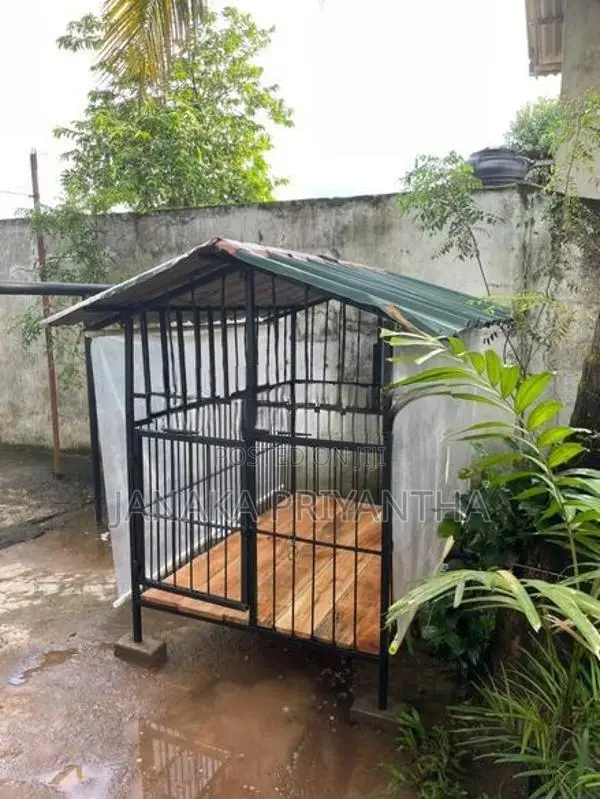 Dog Cage