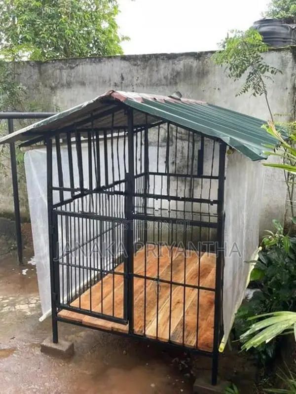 Dog Cage