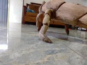 Antique Scorpion Wooden Plant Root