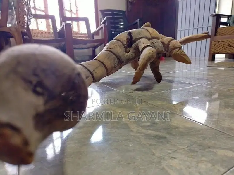 Antique Scorpion Wooden Plant Root