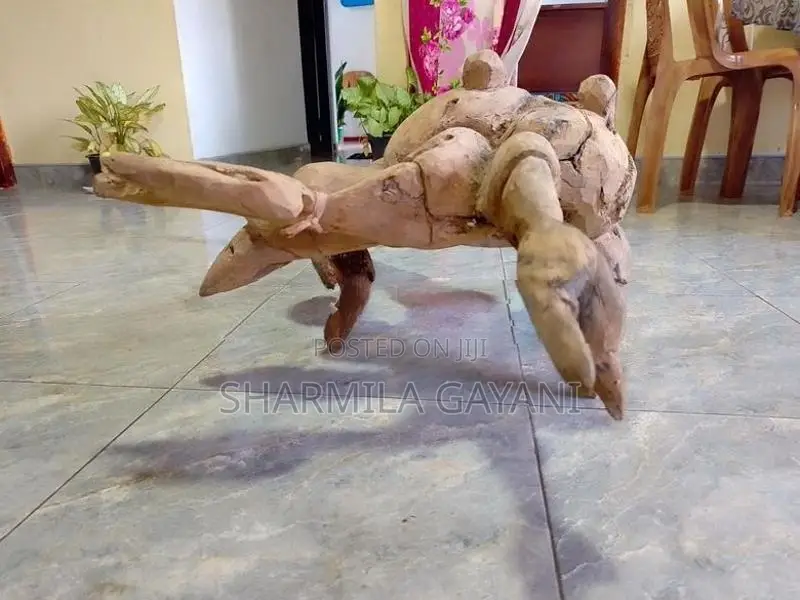 Antique Scorpion Wooden Plant Root