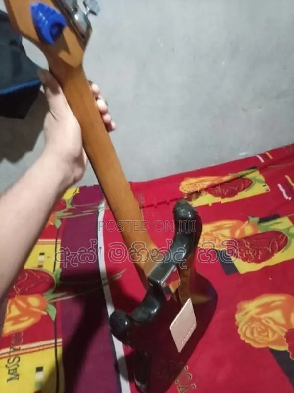 Leed Guitar