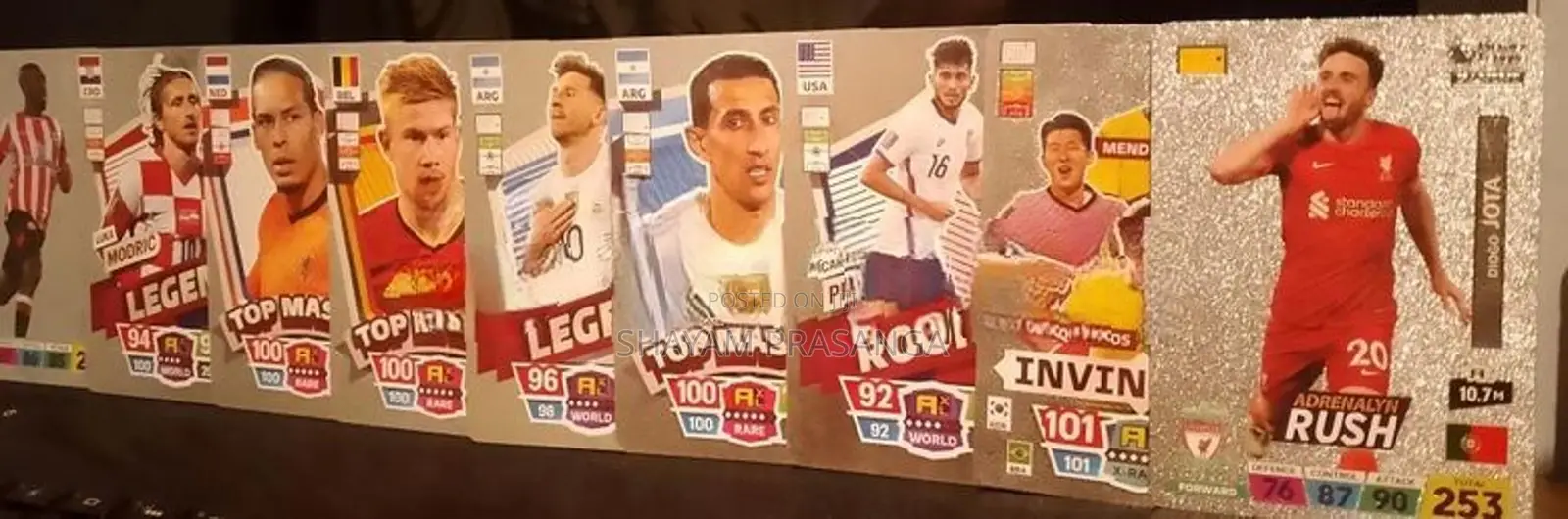 Panini Trading Cards