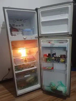 Fridge