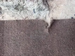 Carpet