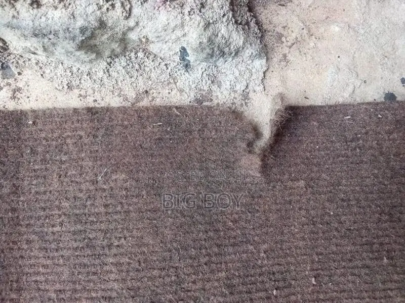 Carpet