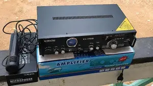 Power Amplifier with Mic