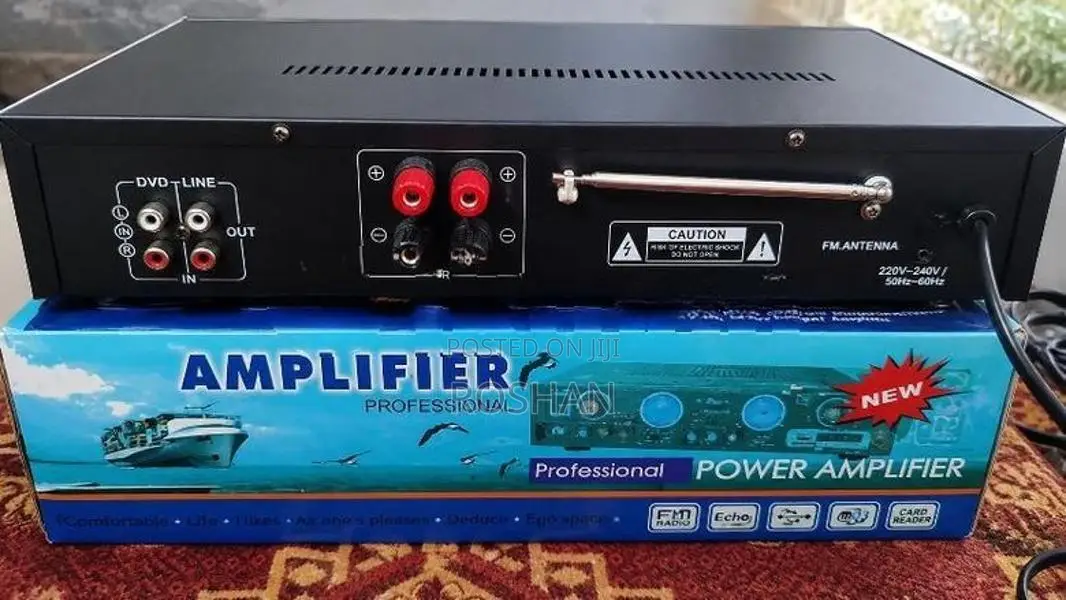 Power Amplifier with Mic