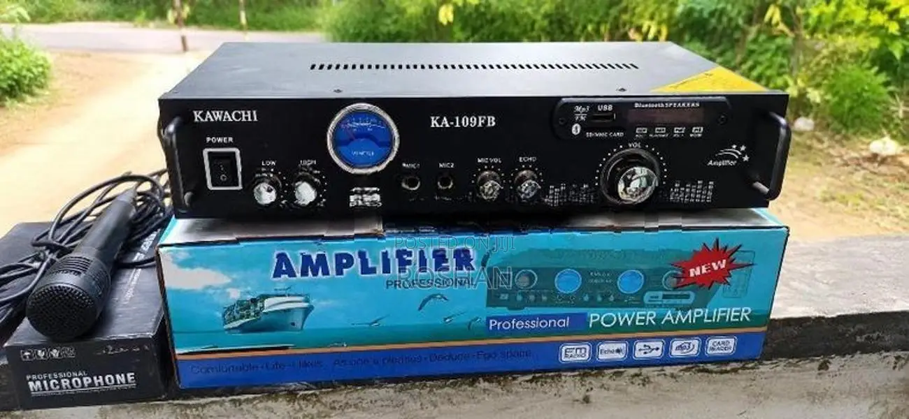 Power Amplifier with Mic