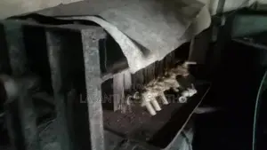Coconut Oil Mill - Filter