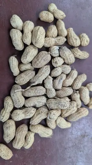 Peanut