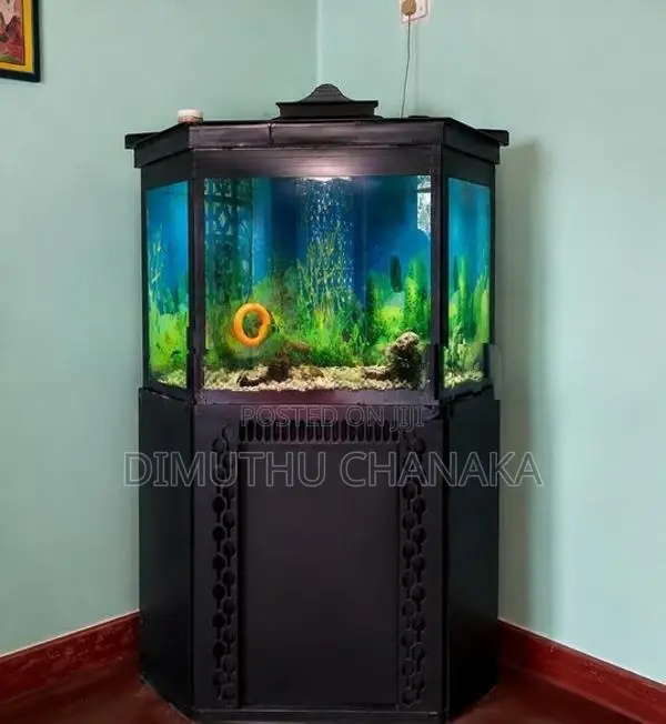 Corner Fish Tank