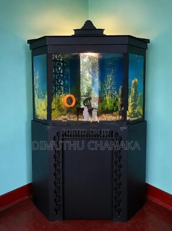 Corner Fish Tank
