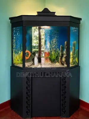 Corner Fish Tank