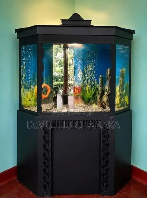 Corner Fish Tank