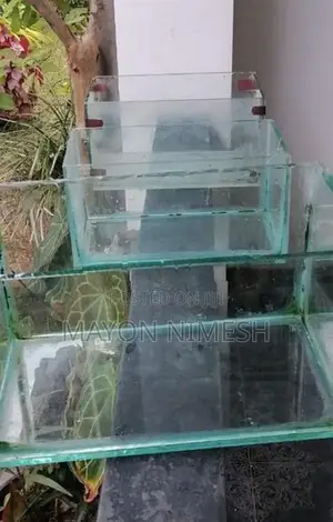 Fish Tanks