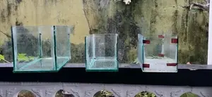 Fish Tanks