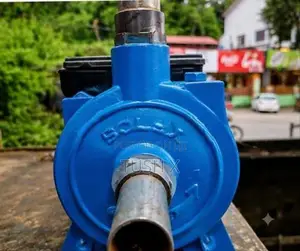 Solex Water Pump