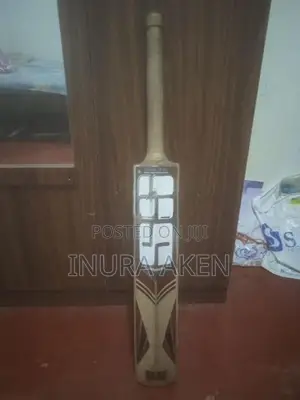 SS Ton Cricket Bat
