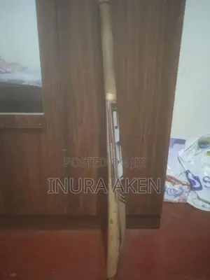 SS Ton Cricket Bat