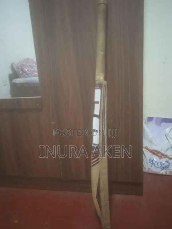 SS Ton Cricket Bat