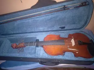 Violin