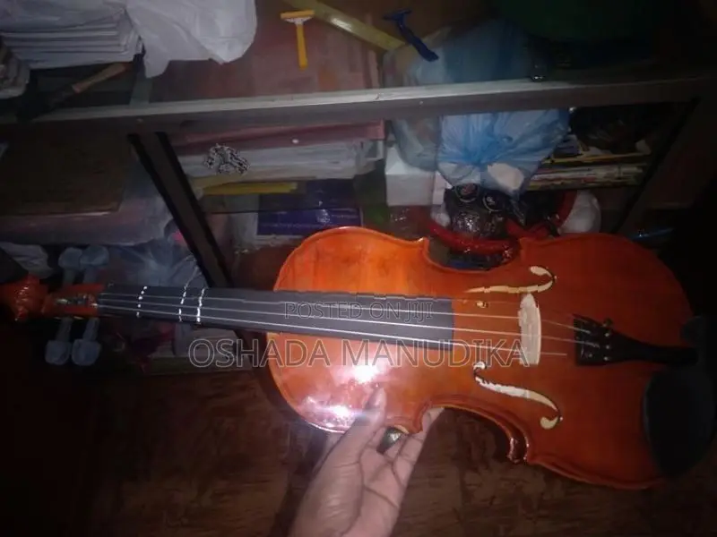 Violin