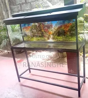 4Ft Brand New Fish Tank