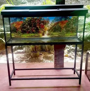 4Ft Brand New Fish Tank