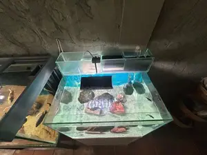Neo Helios Aquarium Light