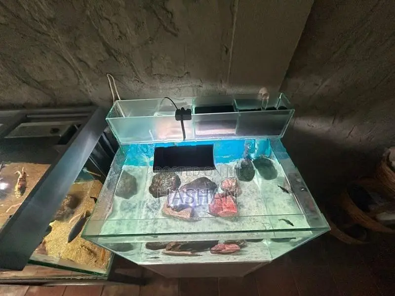 Neo Helios Aquarium Light