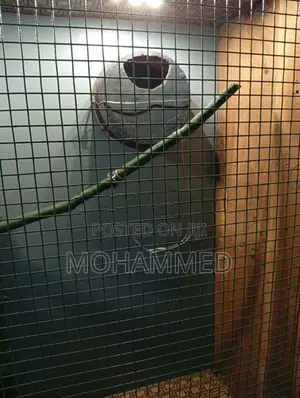 Large Bird Cage
