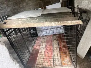 Dog Cage