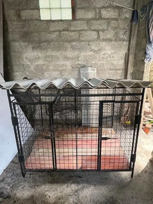 Dog Cage