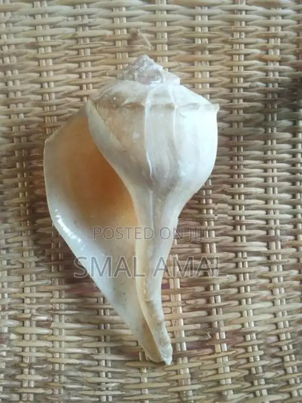 Sangu