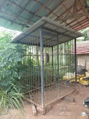 Dog Cage