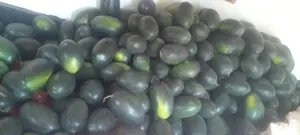 Komadu