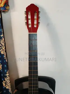 Box Guitar with Cover
